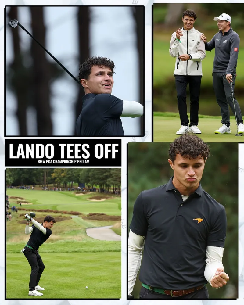 华体会官网-诺里斯将参加PGA职业-业余配对赛，与穆雷、贝尔同台竞技